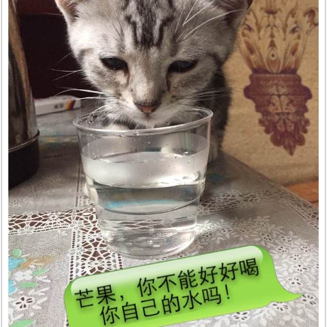 爱尔兰地址证明怎么买假的